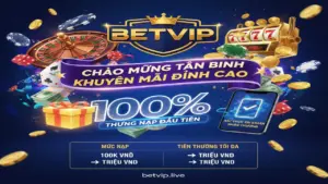 Tổng hợp khuyến mãi tân thủ Betvip