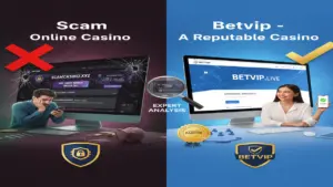 Cách nhận biết nhà cái lừa đảo Betvip
